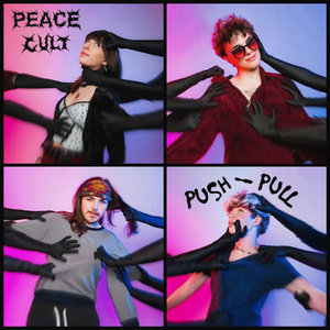 PUSH/PULL cover