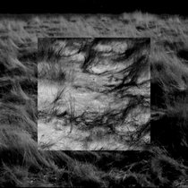 words they cannot speak cover art