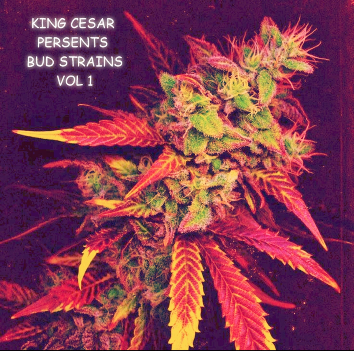 DON'T SCANDALIZE MINE | SUGAR BEAR | Mindbenda Recordings