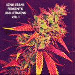 BUD STRAINS VOL 1