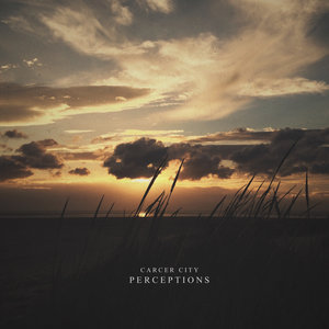 Perceptions (DEMO) cover