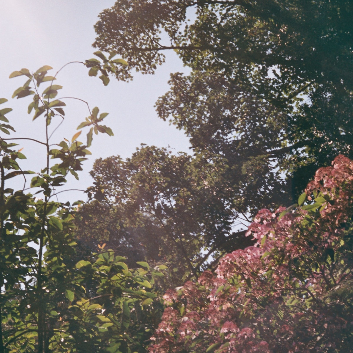 Rowan Mathews Ambience | Rowan Mathews