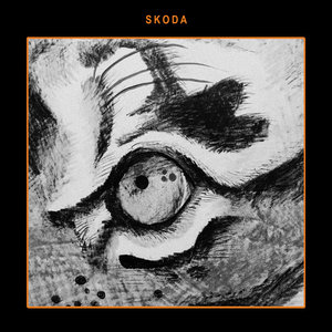 Skoda cover