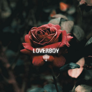 LOVERBOY cover
