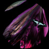 OBQ005 - Datum Plano EP