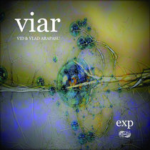 VIAR (Vid and Vlad Arapasu) - exp. cover art