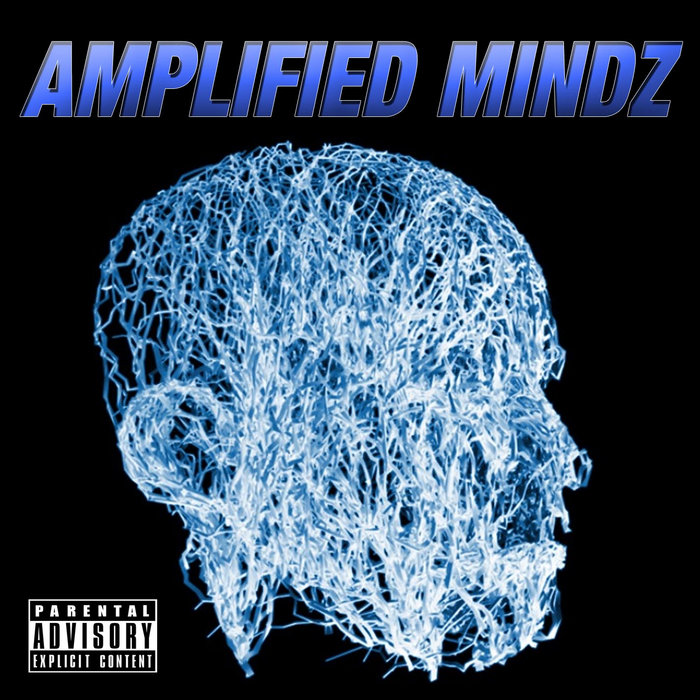 Amplified Mindz | KnightKrawler