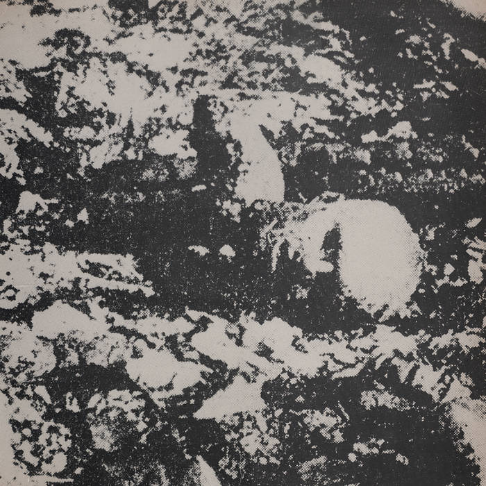 Nord | Nord | Art into Life