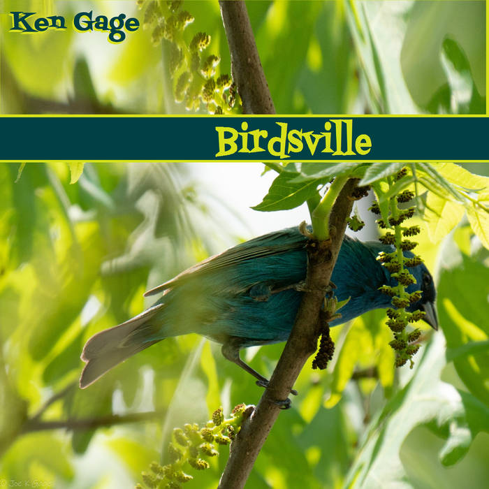 Birdsville | Ken Gage