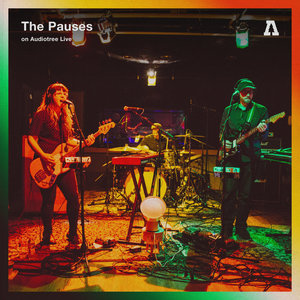 The Pauses on Audiotree Live cover