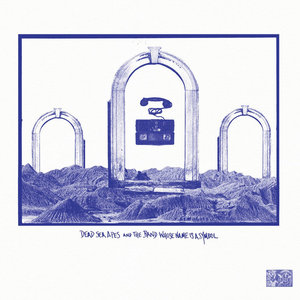 Dead Sea Apes — Dead Sea Apes and The Band Whose Name Is A Symbol: split LPDead Sea Apes and The Band Whose Name Is A Symbol