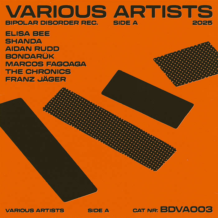Various Artists (Side A) | Bipolar Disorder Rec.