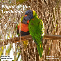 Flight of the Lorikeets cover art