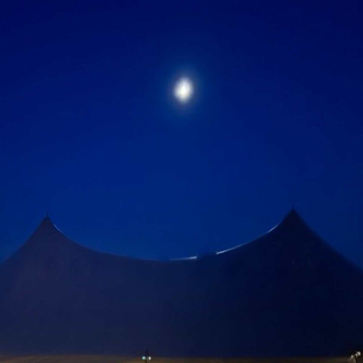 Vastness