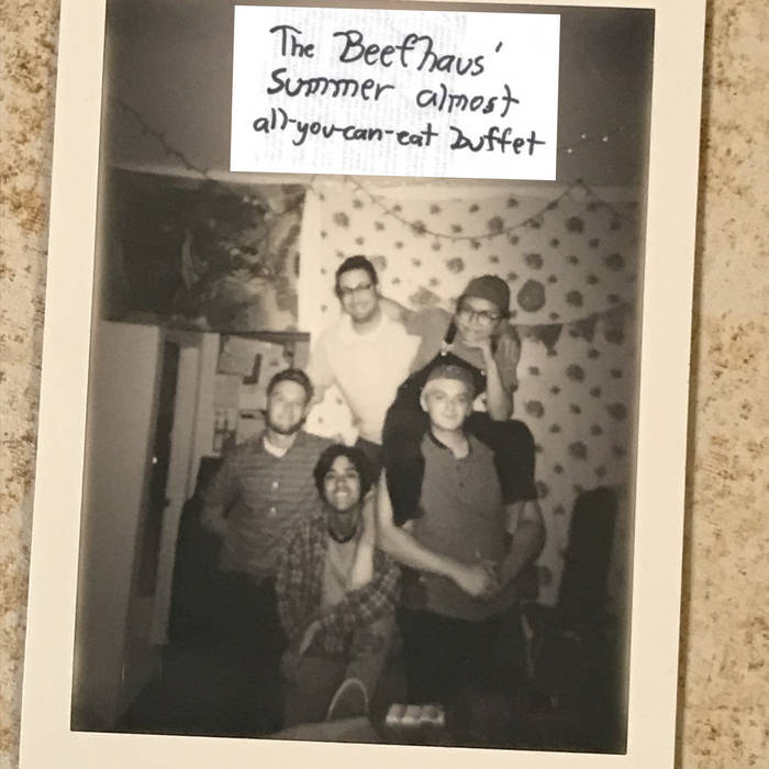 Olivia Stein S Collection Bandcamp