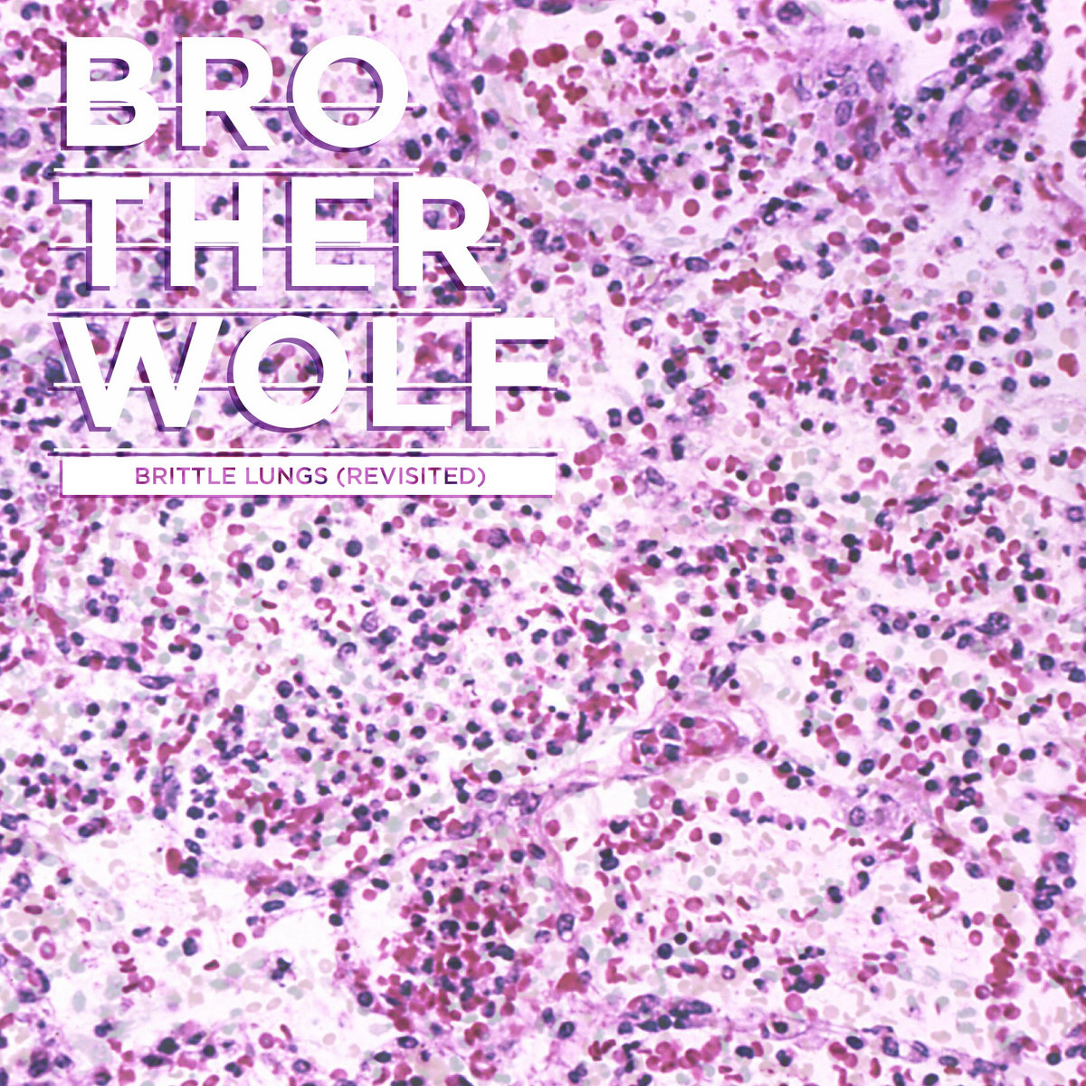 Brittle Lungs (Revisited) Brother Wolf