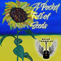 A Pocket Full of Seeds cover art