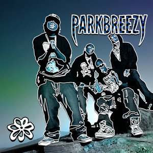 parkbreezy — vans (parkbreezy flip)
