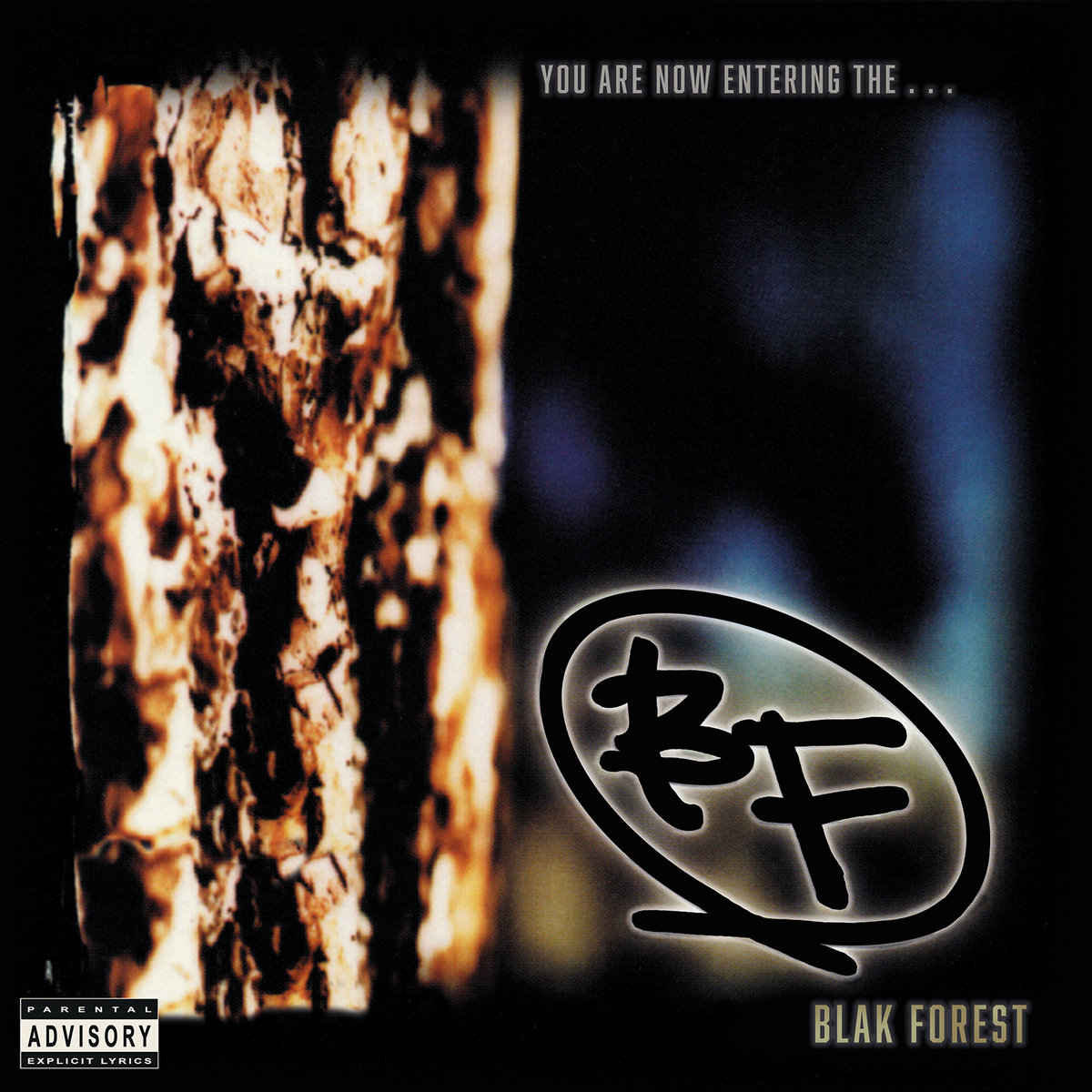 『2年保証』 You Are Now Entering The  | Blak Forest | 90s Tapes 洋楽