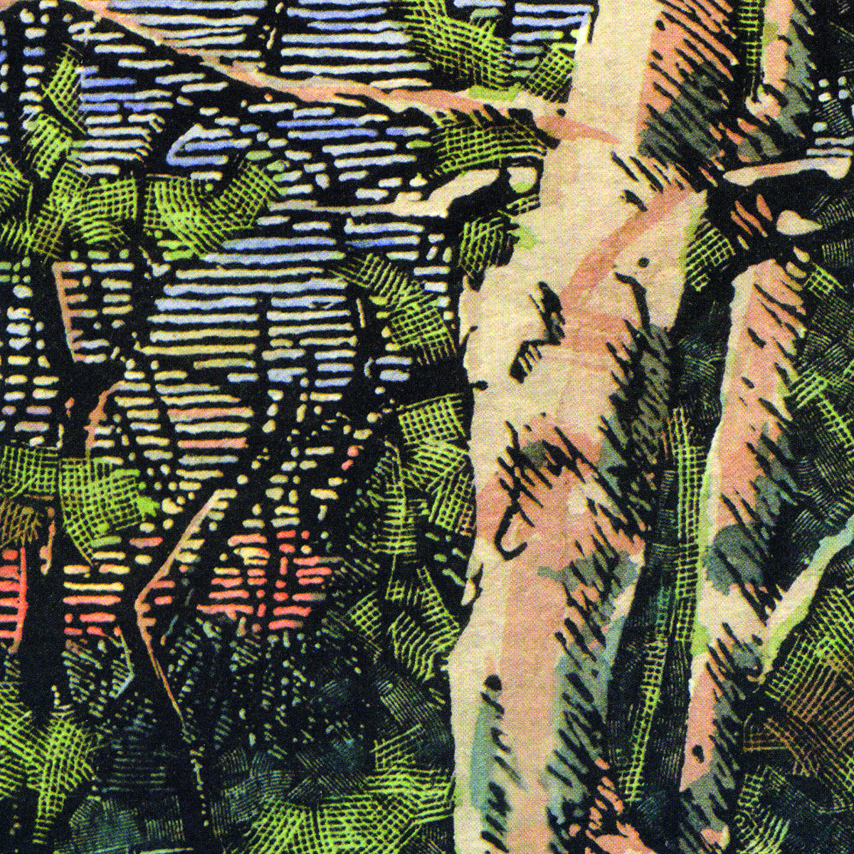 Asleep Many Years In the Wood by The Anomoanon