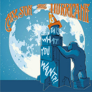 Is This What You Want?! cover