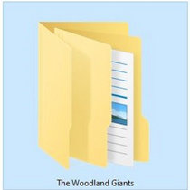 The Woodland Giants (Full Discography) cover art