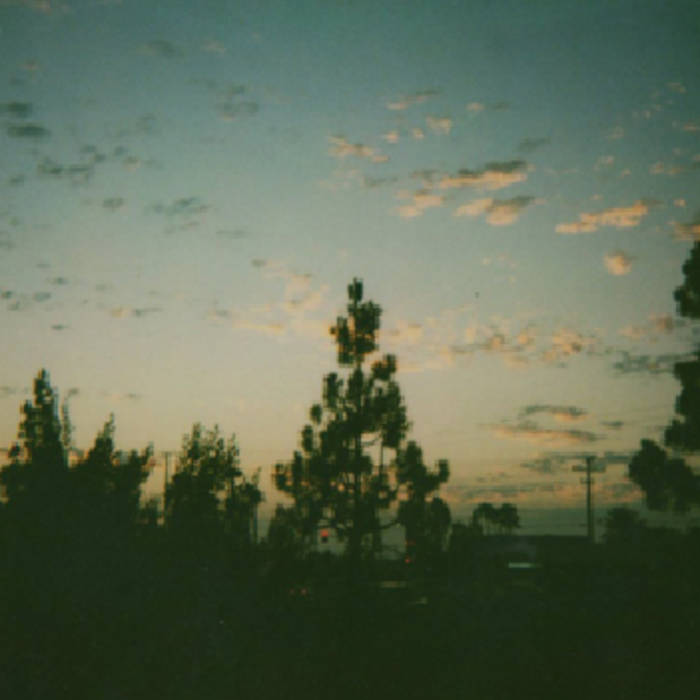 Like Lifetime Movies Lizards Have Personalities