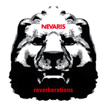 Reverberations cover art