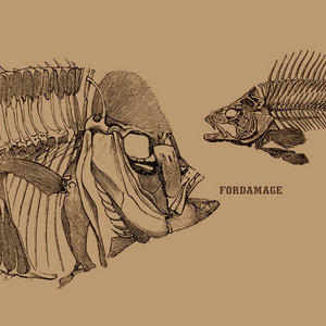 FordamageFORDAMAGE cover