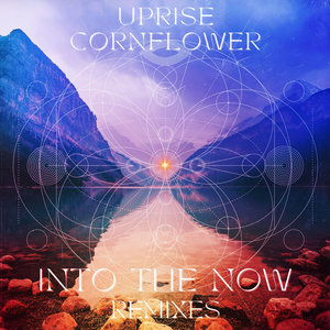 INTO THE NOW Remixes by Uprise & Cornflower cover