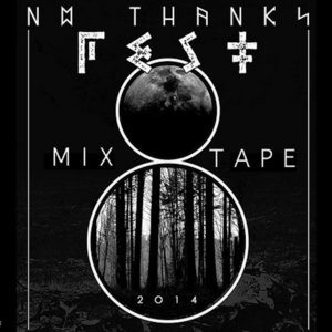 No Thanks Fest 2014 Mixtape for CVLT NationVarious Artists cover