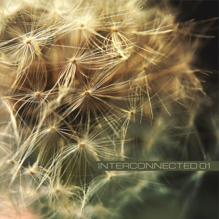 Interconnected 01 | Track Club and David Rolfe | David Rolfe