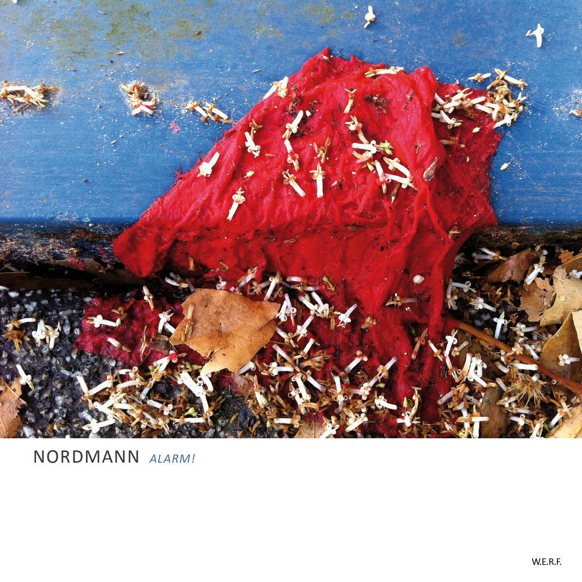 Nordmann
