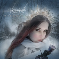 Winter Rose cover art