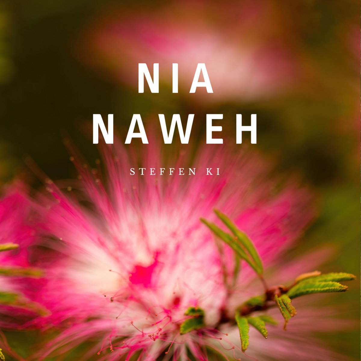 Nia Naweh (432 Hz Channeled Healing Chant Sound Journey)