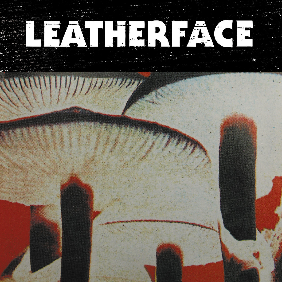 Mush | Leatherface