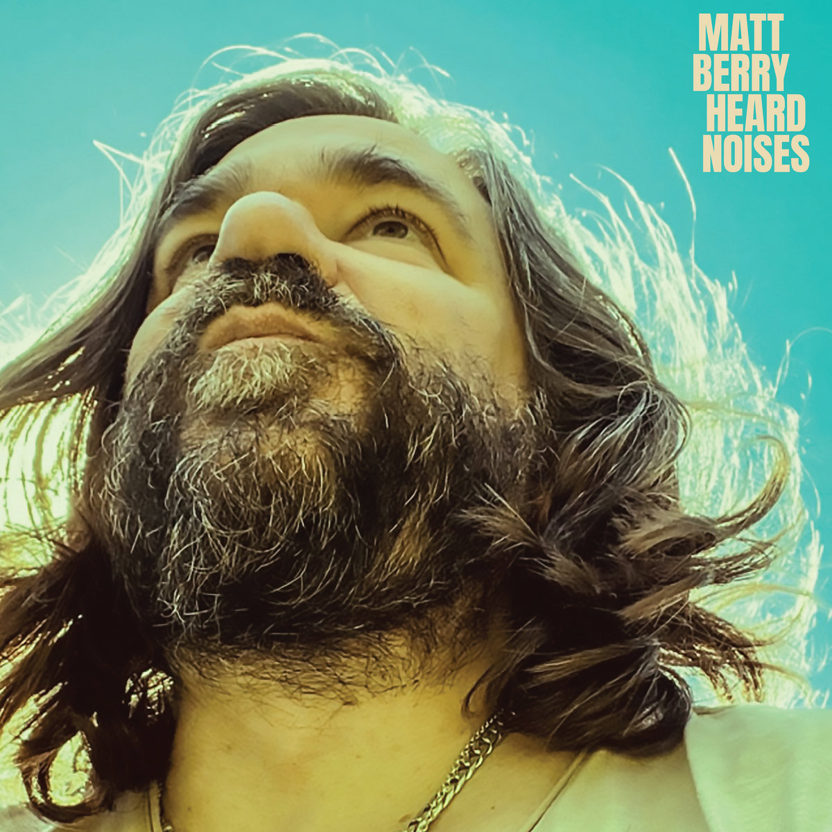 英LP Matt Berry (3) Heard Noises AJXLP817B Acid Jazz 未開封 /00260 Heard Noises | Matt Berry