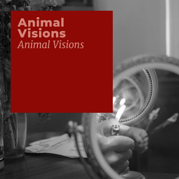 Animal Visions | Animal Visions | daily rituals