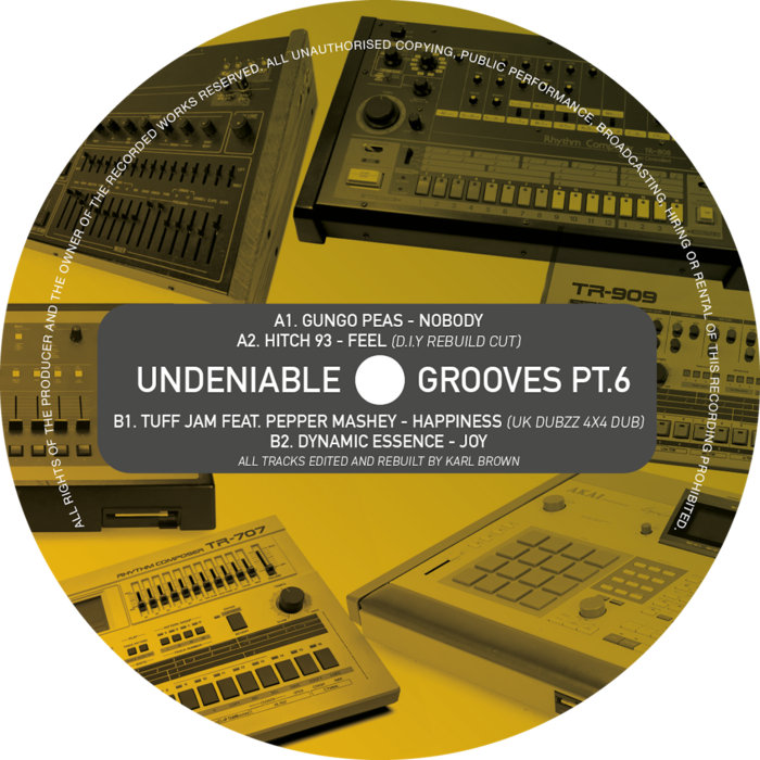 Pochette de UNDENIABLE GROOVES PT.6 par Various Artist
