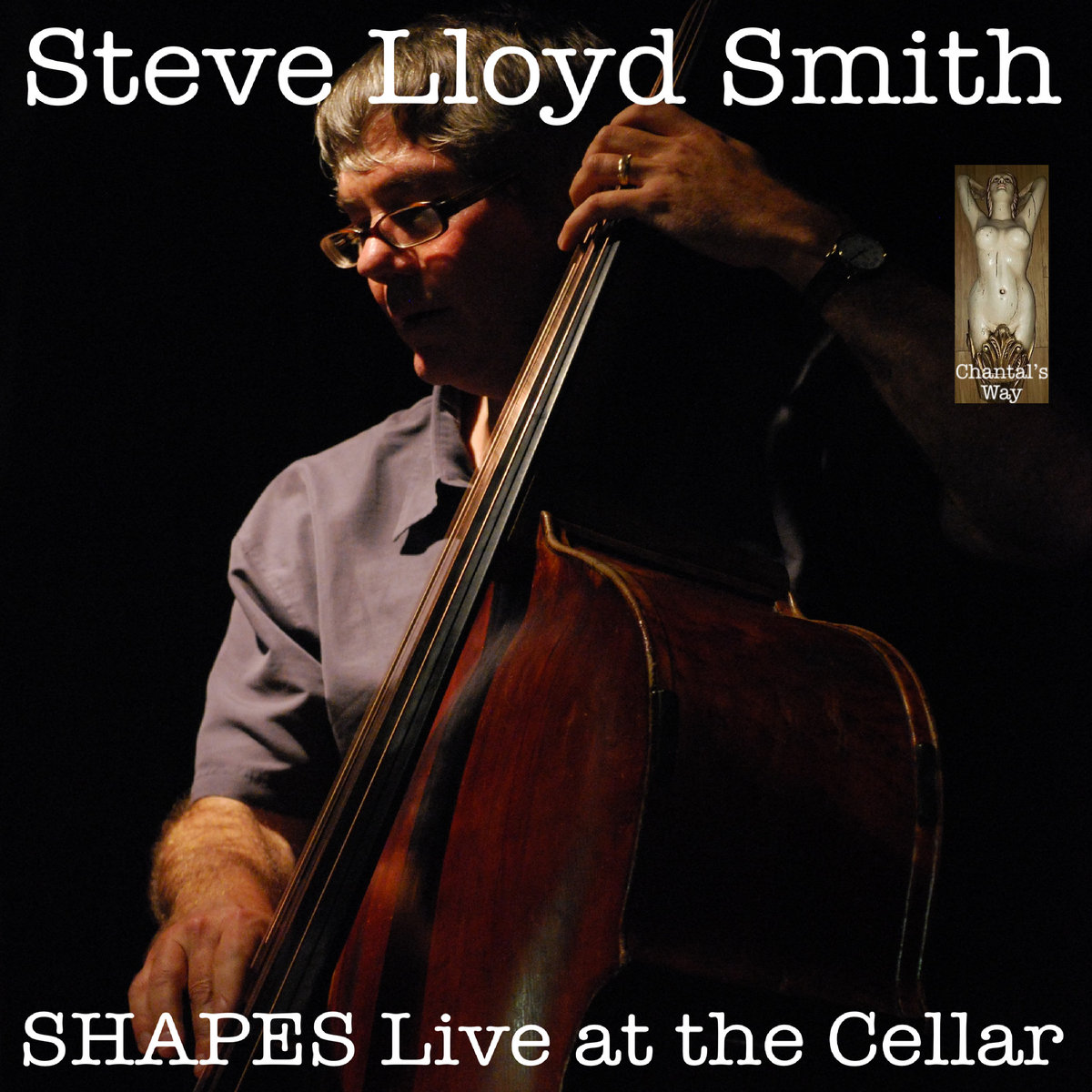 SHAPES Live at the Cellar | Steve Lloyd Smith