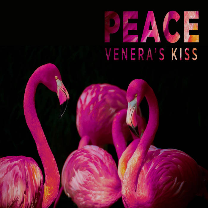 Stupid Bloody Monday Venera S Kiss