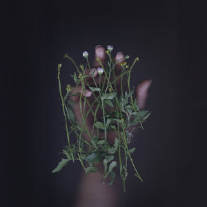 I Hate Sex / Algae Bloom / Black Knight Satellite Split cover
