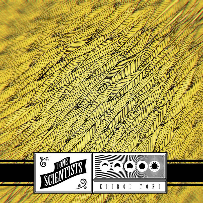 Kiiroi Tori | Tone Scientists | Org Music