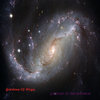 gardensofhega.bandcamp.com
