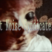 Post Noise Syndicate #9 cover art