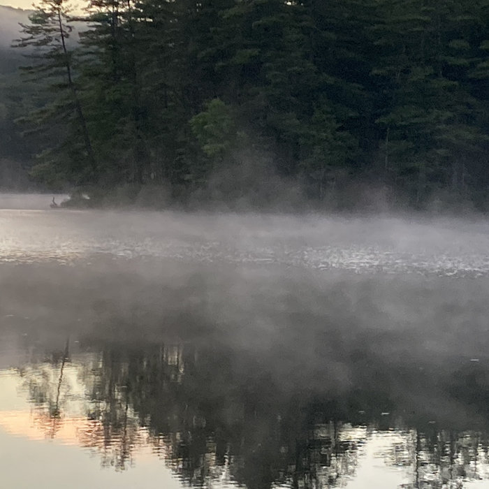 The Calliope Store Nick Ellis