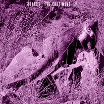 The Coatimundi EP cover art