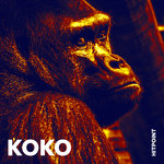 Koko