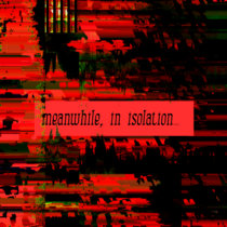 Meanwhile, In Isolation... (Split w/ Professeur de Sade, ihateyourguts, Mai 12, Mal Aliento and Ondrey Zintaer) cover art
