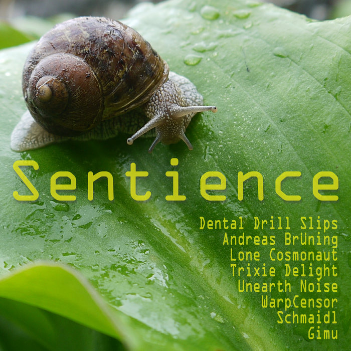 Sentience | Various Artists | The Committee for Sonic Research